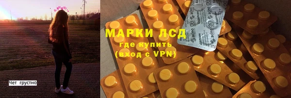 spice Ельня