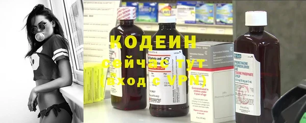 шишки Дмитровск
