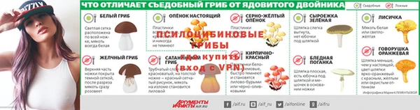 ECSTASY Елизово