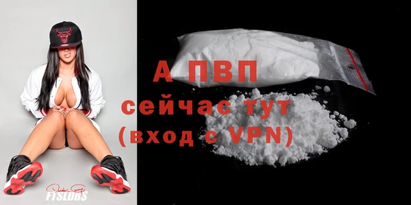 хмурый Дмитриев