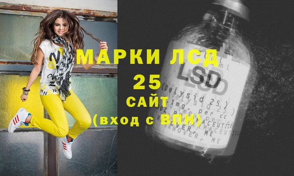 spice Ельня