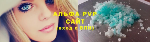шишки Дмитровск