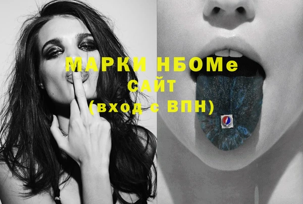 шишки Дмитровск