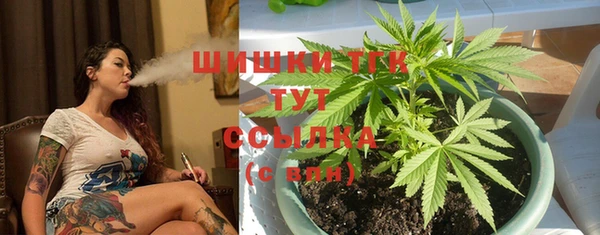 ECSTASY Елизово