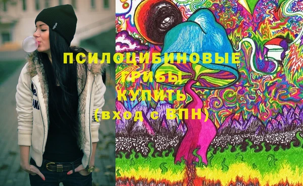 шишки Дмитровск