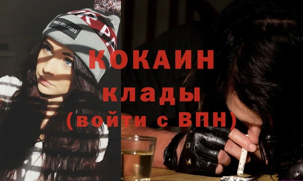шишки Дмитровск