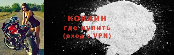 шишки Дмитровск