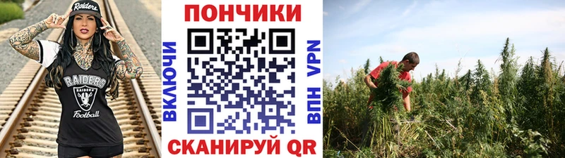 Купить закладки  Чистополь  МАРИХУАНА THC 21% 